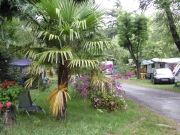 Emplacements 7 Camping les Roches SUD ARDECHE VOGUE