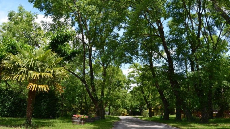 Camping les Roches à Vogüé en Ardèche